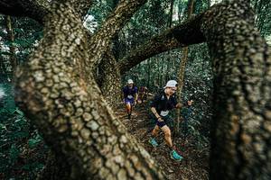 BIB: 
                            <button type="button" onclick="openModal(25392652)" class="btn btn-primary btn-sm float-right btn-popup" data-toggle="modal" data-target=".modal-high-quality">
                        <i class="fas fa-shopping-cart"></i> Add to Cart
                    </button>
                                            <button type="button" onclick="isThisMe(25392652, true)" class="btn btn-success btn-sm float-right btn-popup btn-isme hidden" data-toggle="tooltip" data-placement="bottom" title="นี่คือรูปของคุณใช่ไหม คลิกที่นี่เพื่อเอาเข้าอัลบั้ม">
                        <i class="fas fa-plus"></i> Add to album
                    </button>
                    <button type="button" onclick="isThisMe(25392652, false)" class="btn btn-warning btn-sm float-right btn-popup btn-isnotme hidden">
                        <i class="fas fa-ban"></i> Remove from album
                    </button>